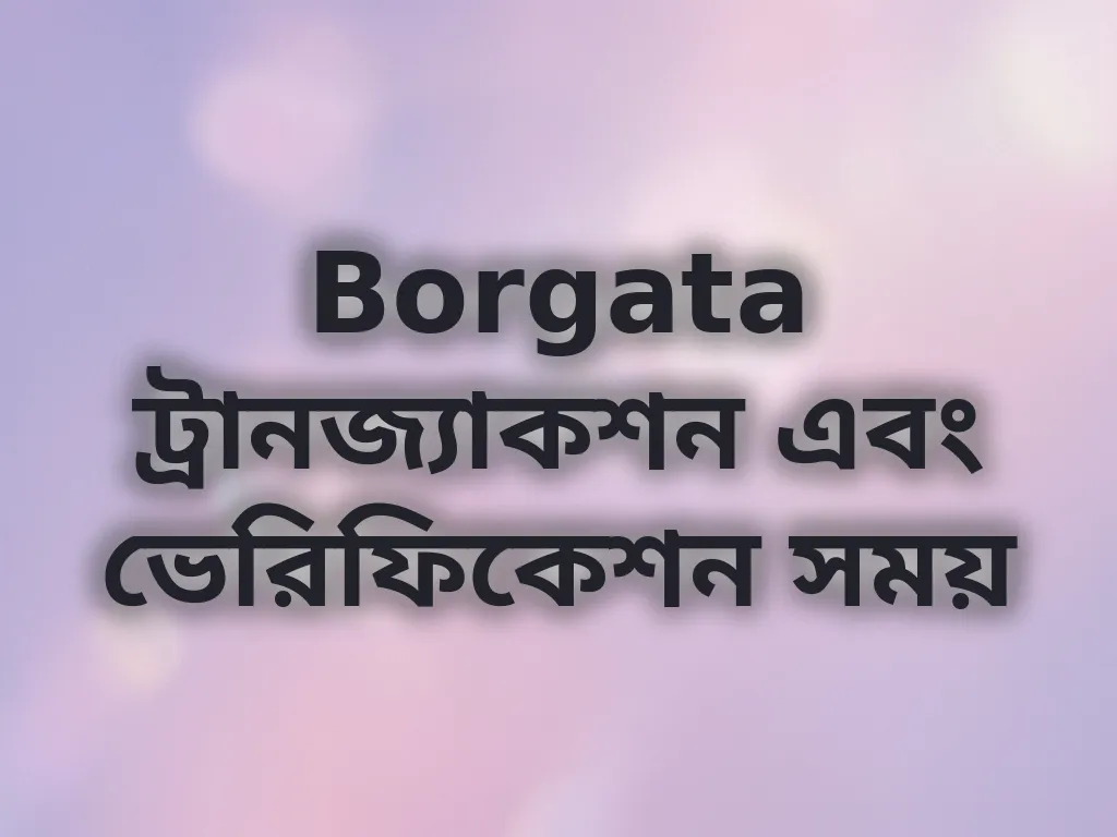 ভেরিফিকেশন সময়
